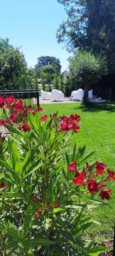 Villa Destiny Nedescina, Istrien, Kroatien Exteriér fotografie