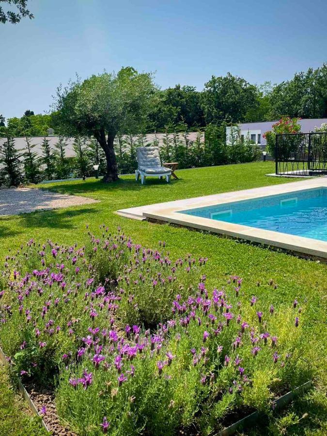 Villa Destiny Nedescina, Istrien, Kroatien Exteriér fotografie